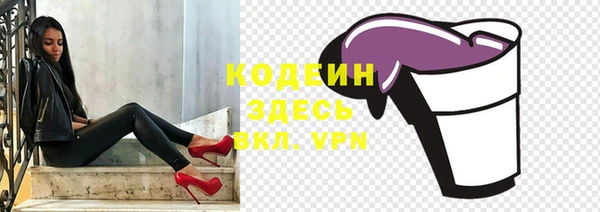 стаф Бородино