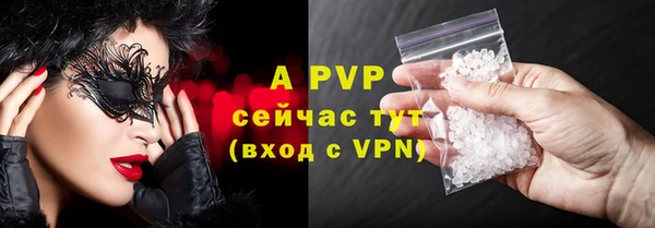 стаф Бородино