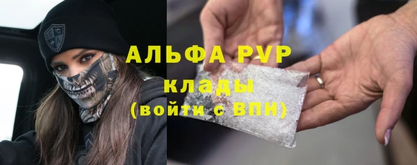 стаф Бородино