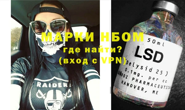 стаф Бородино
