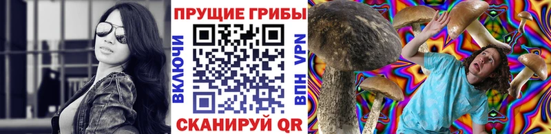 Псилоцибиновые грибы мицелий  Купить закладки  Семилуки 